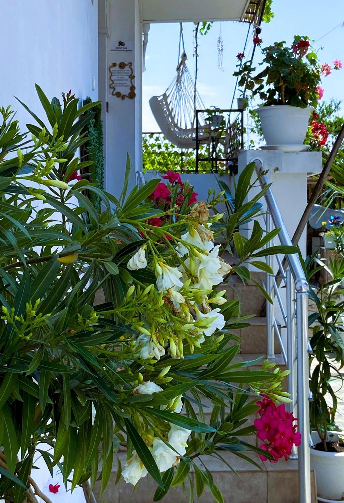 Guest House Hei Taka Sozopol Esterno foto